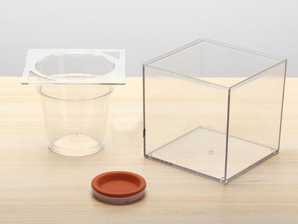 Transform Your Space with the Fish Tank Flowerpot
